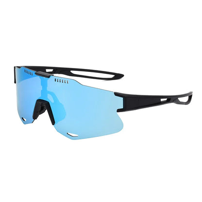 Lunettes Polarisées